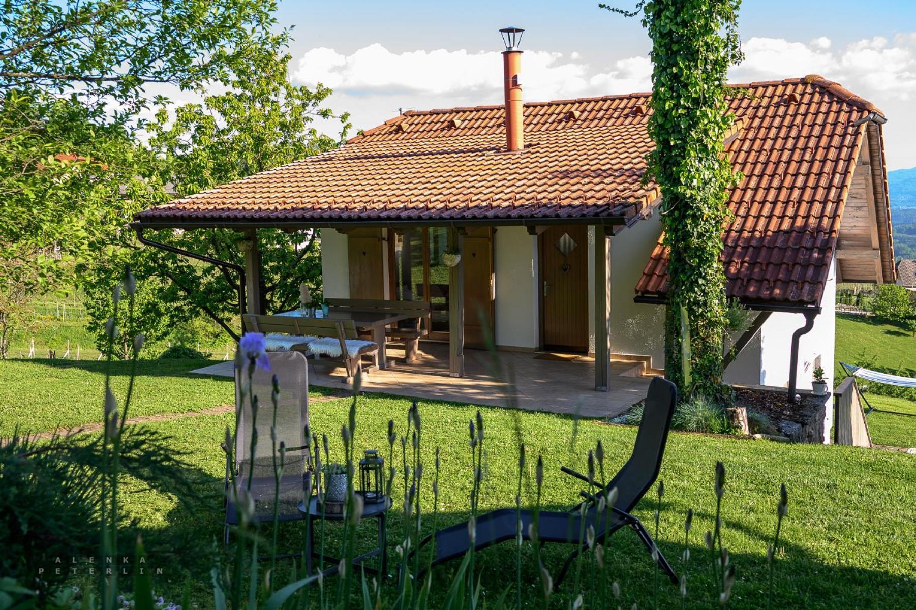 Vineyard Cottage Klemencic Novo Mesto Exterior photo